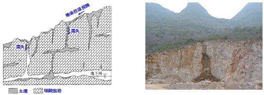 喀斯特地区地下空间发育，土壤地下漏失严重（唐益群等，2010）