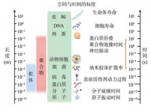 图7 软物质的时间与空间尺度