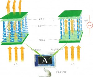 图9</br>液晶显示器原理示意图