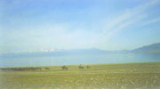 Sayram Lake Pasture