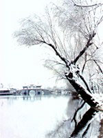 snow scenery