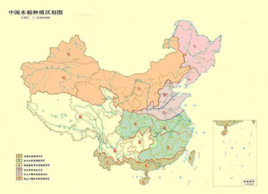 水稻(籼稻)基因组计划