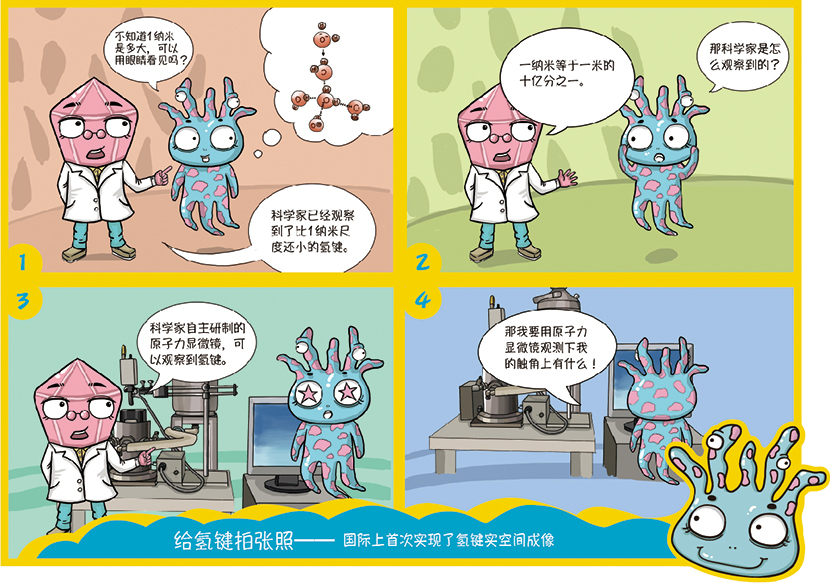 给氢键拍张照-01.jpg