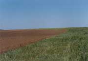 草原区开垦为沙尘暴发生提供了沙源