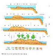 珊瑚岛（灰沙岛）地形发育剖面示意图